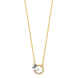 14K 2T Necklace (NK84) (NK84)