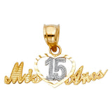 14K 2T 15 Years Pendant (PT377) (PT377)