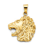 14KY Lion Face Pendant (PT2683)