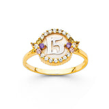 14K 2T 15 Years CZ Ring (RG679) (RG679)